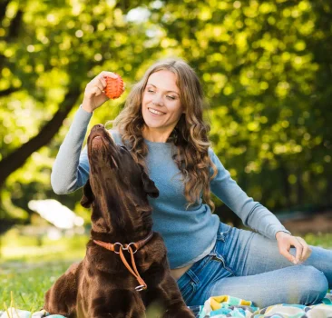 dog-sitter
